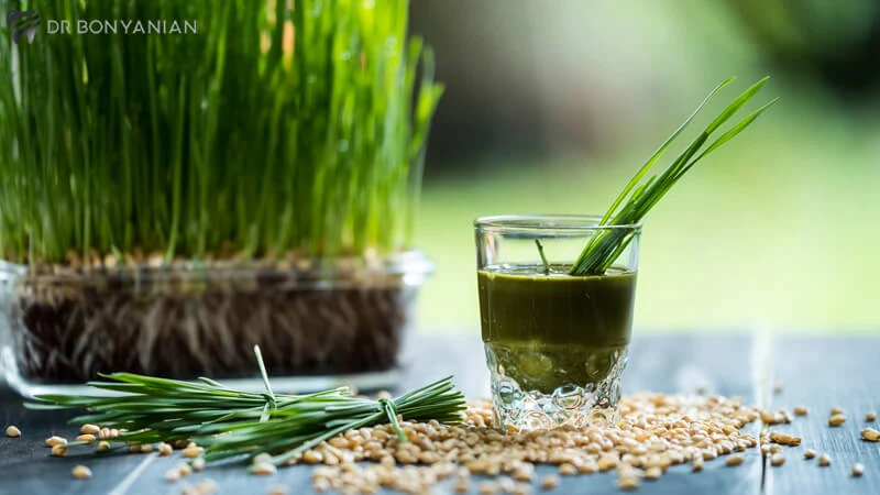 Wheatgrass