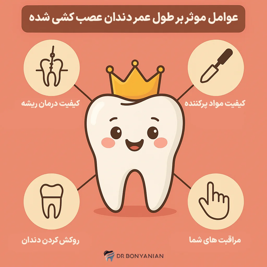 عوامل موثر بر طول عمر دندان عصب کشی شده